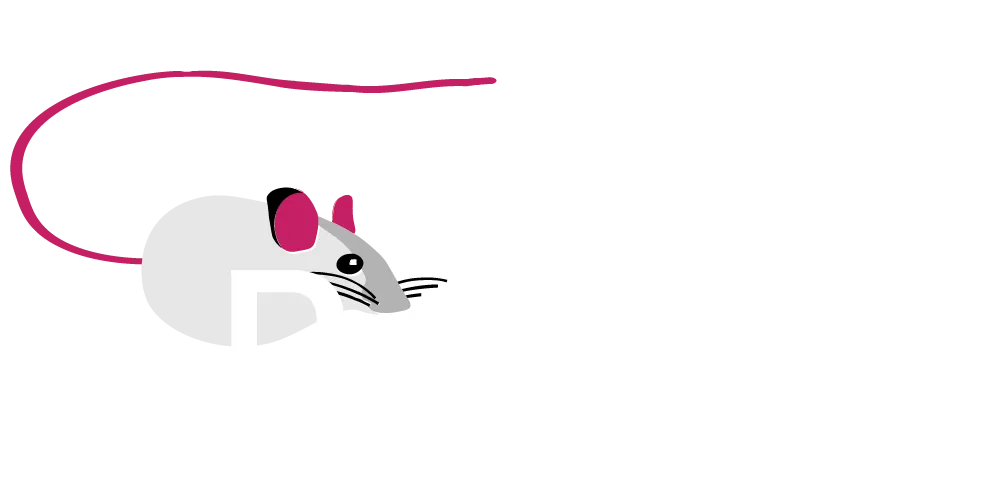 PC Grundlagen Schulungen und Kurse als Live Online Training und Präsenzseminar